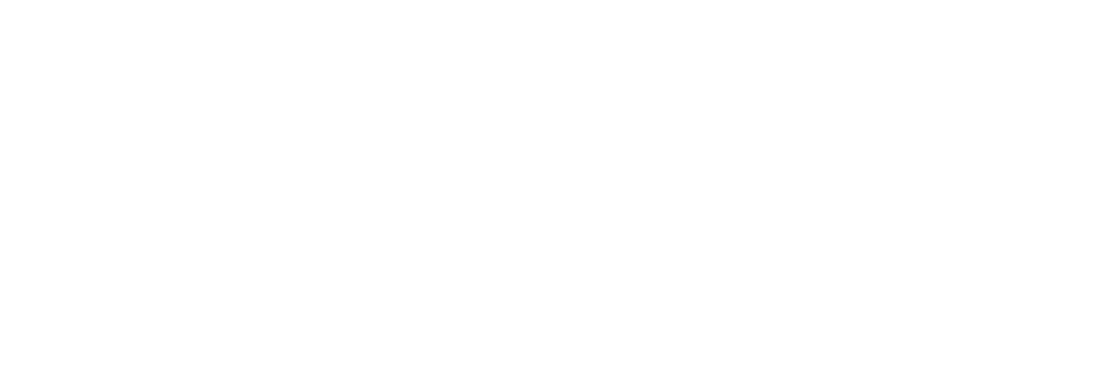 The Ladies
